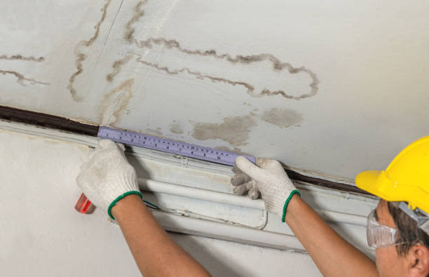 Reliable Mold Remediation contractor in Stockton, UT by Water Damage Irwin